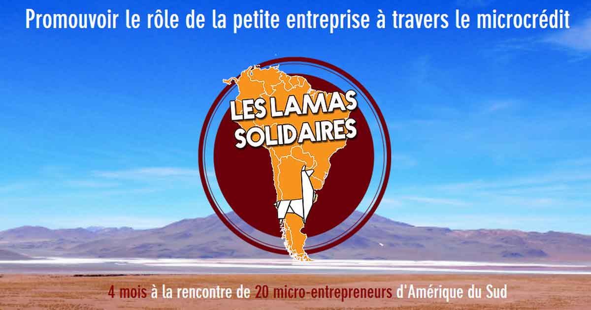 Freecadre soutient les lamas solidaires